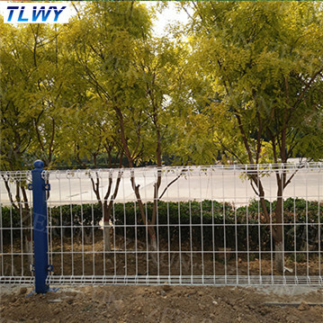 Chiny Anping TLWY 30 lat fabrycznie powlekane proszkowo podwójne ogrodzenie ochronne z drutu
