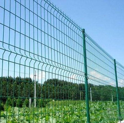 Anping TLWY Zakrzywione ogrodzenie z siatki drucianej 3D Zielony ocynkowany ODM OEM